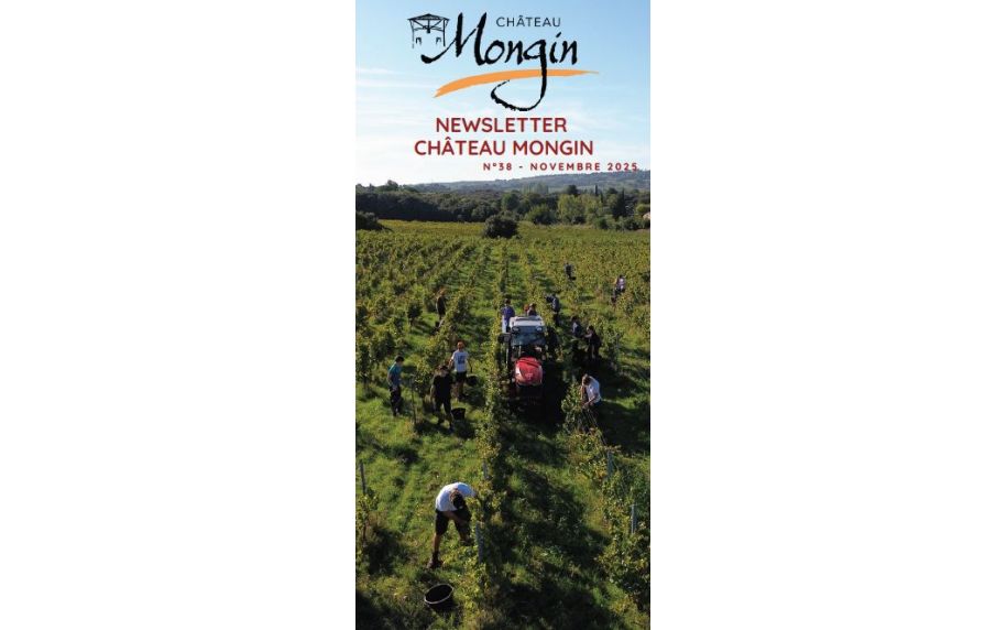 Newsletter Automne 2025